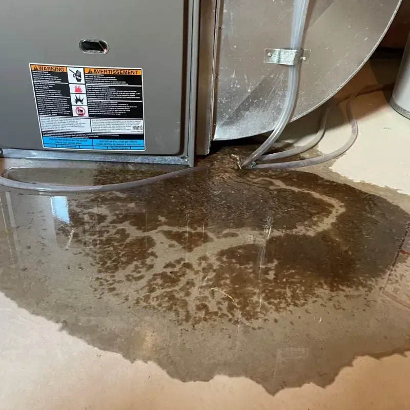 Appliance Leak Cleanup in New Paris, OH